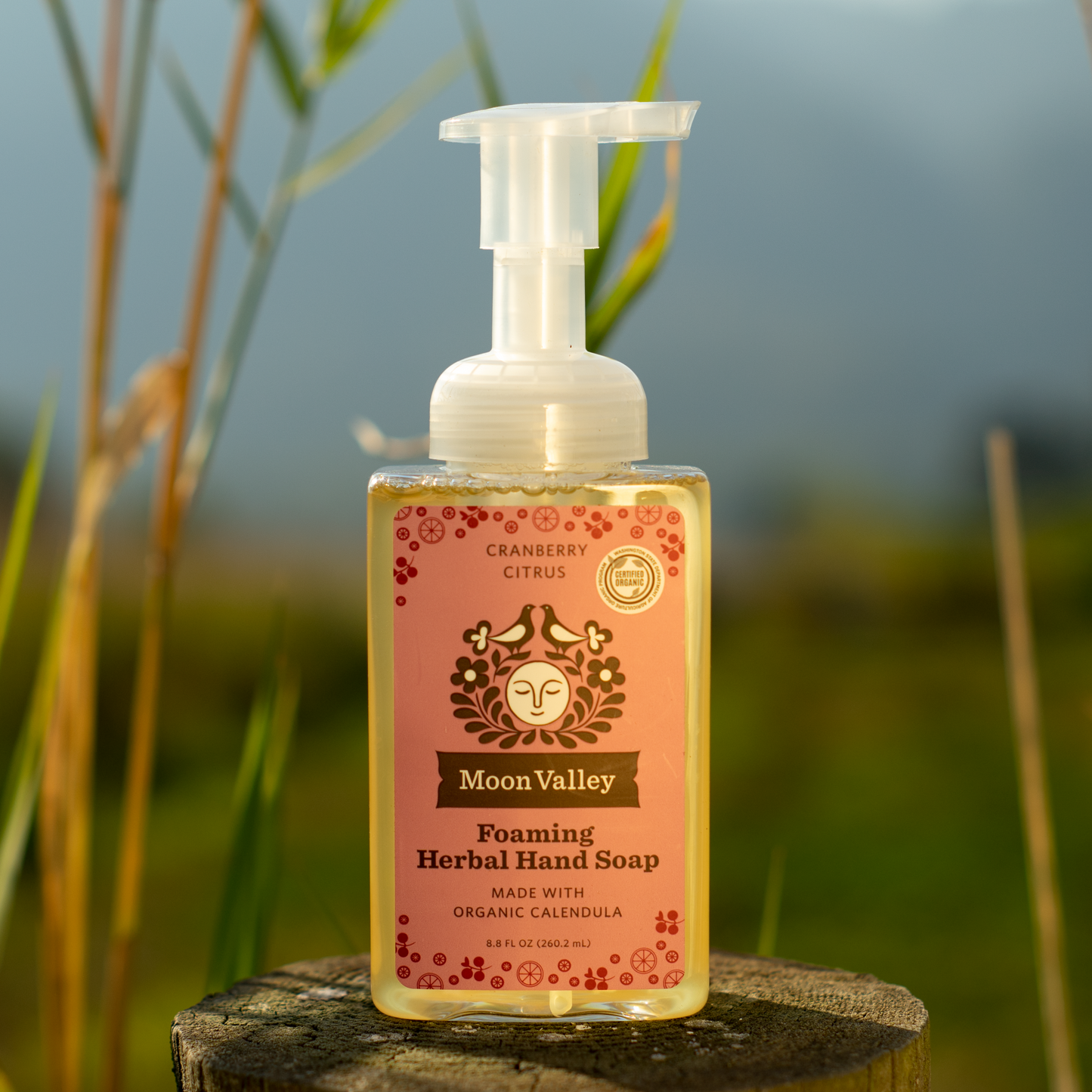 Moon Valley Organics Foaming Herbal Hand Soap Front Dispenser Bottle Cranberry Citrus