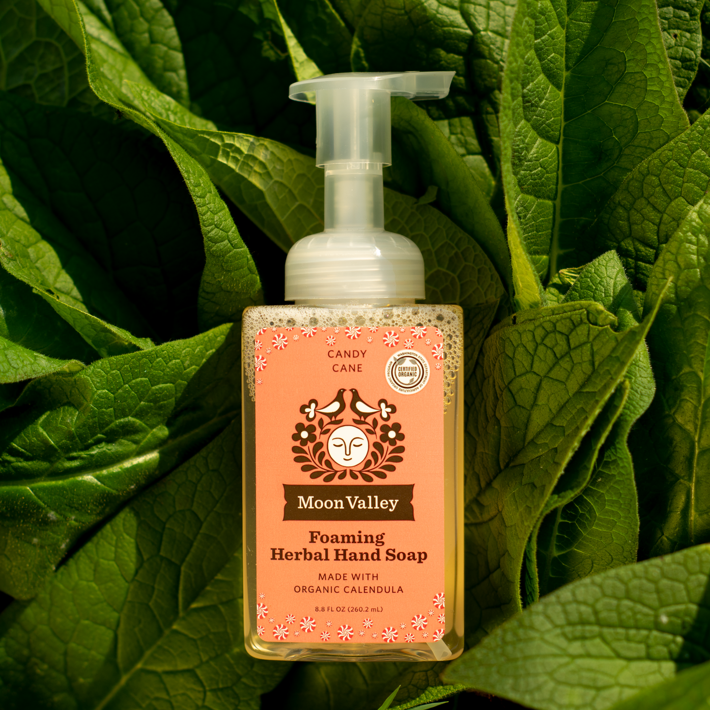 Moon Valley Organics Foaming Herbal Hand Soap Front Dispenser in front of Comfrey Leaves Background Bottle Candy Cane